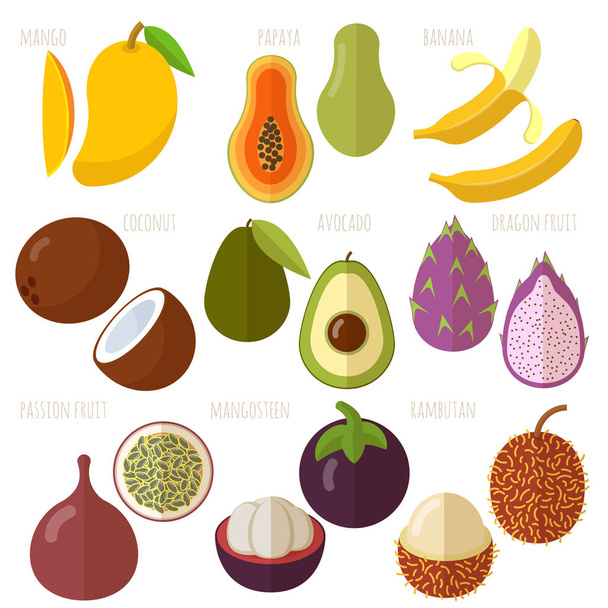 Vector tropical exótico frutas de diseño plano
  - Vector, imagen
