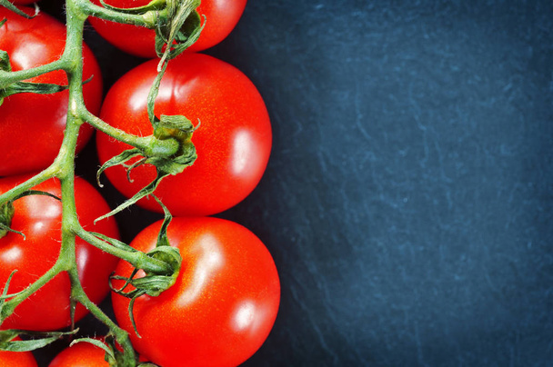 Fresh red tomatoes on the branch on the dark blue background - Foto, imagen
