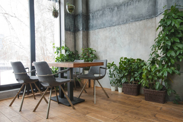 Café interior com decoração verde
 - Foto, Imagem