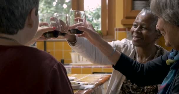 Drie vriendinnen vieren samen met een fles wijn en snacks - Video