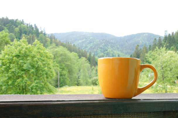A beautiful cup with hot tea stands in front of a beautiful scenery - Photo, Image