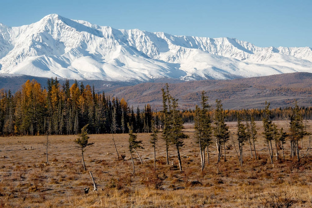 Rusland. Het zuiden van West Siberië, herfst in de Altaj - Foto, afbeelding