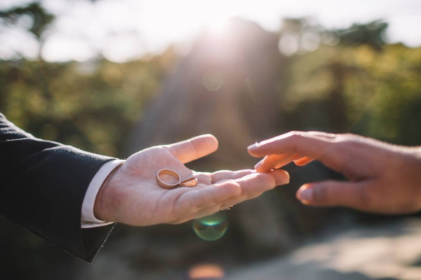 Closeup photo of bride and groom holding golden wedding rings on hands - Photo, Image