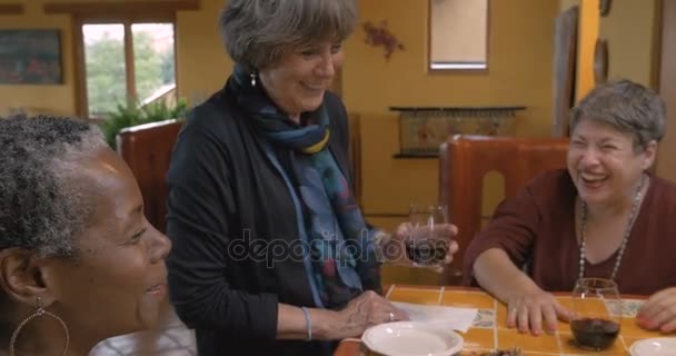 Mixed racial friends over 50 laughing celebrating and cheering with red wine - Footage, Video