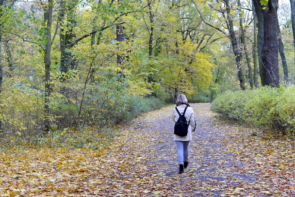 одинокая молодая женщина, гуляющая в парке, вид сзади
 - Фото, изображение