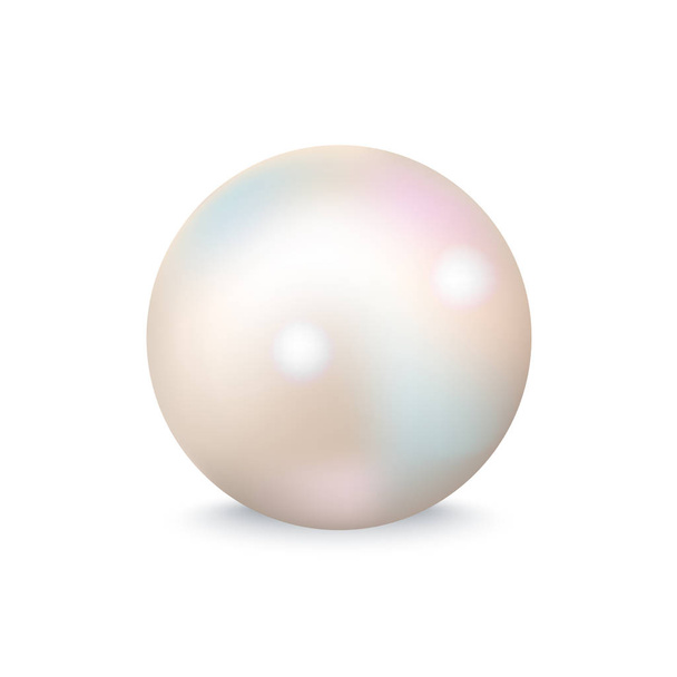 Closeup of White Pearl on Vector Illustration - Vector, Image