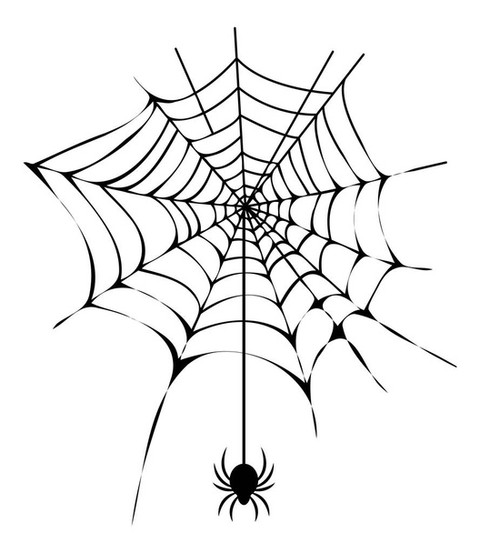 Black Thin Web with Spider Isolated Illustration - Vettoriali, immagini