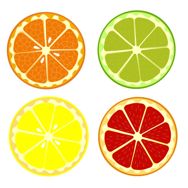 Set of fruits orange, lemon, lime, grapefruit. Cartoon fruits clipart collection. Icons isolated on white background. Vector - Vektor, kép