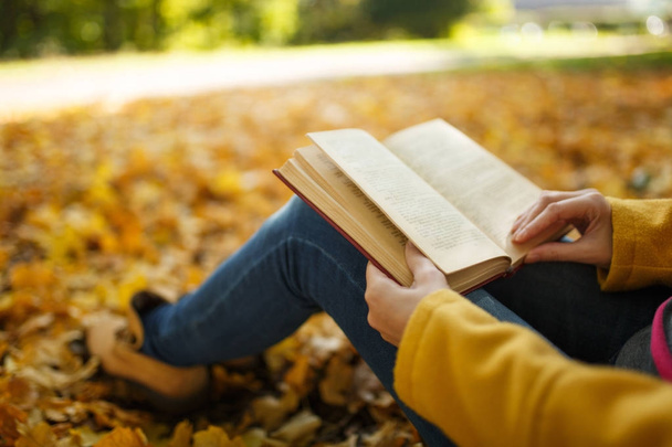 Женщина в жёлтом пальто и джинсах сидит под кленовым деревом с красной книгой в осеннем городском парке в тёплый день. Осенние золотые листья. Концепция чтения. Закрыть
. - Фото, изображение