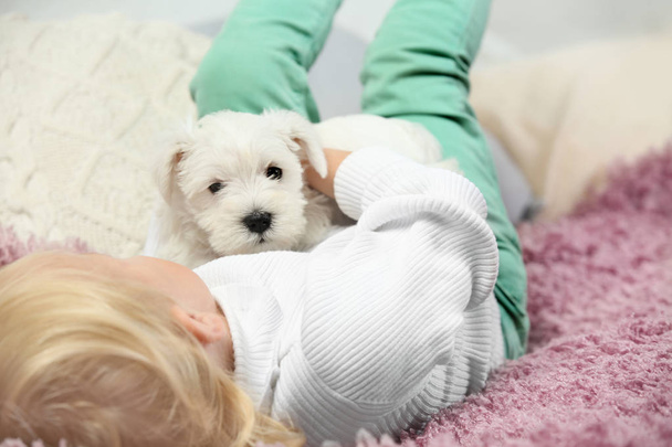 Little cute girl with puppy  - Foto, Imagem