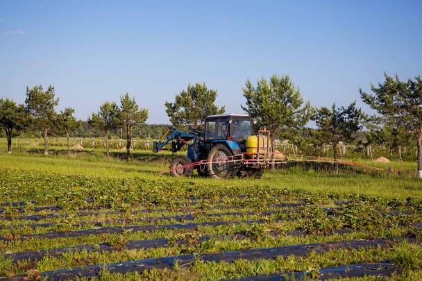 Agrikultura τρακτέρ καλλιεργεί το έδαφος στο πεδίο της - Φωτογραφία, εικόνα