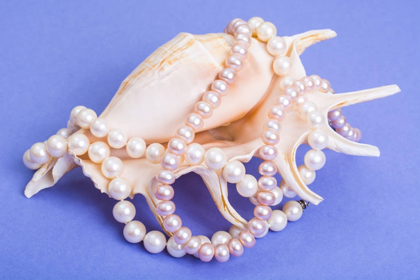 Encantador collar de perlas
 - Foto, Imagen