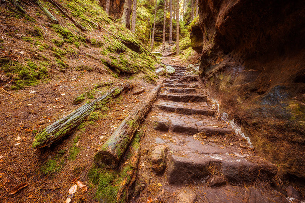 Stare schody w lesie w pobliżu Kamnitzleiten - Zdjęcie, obraz