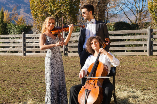 three young musicians, outdoors - Фото, зображення