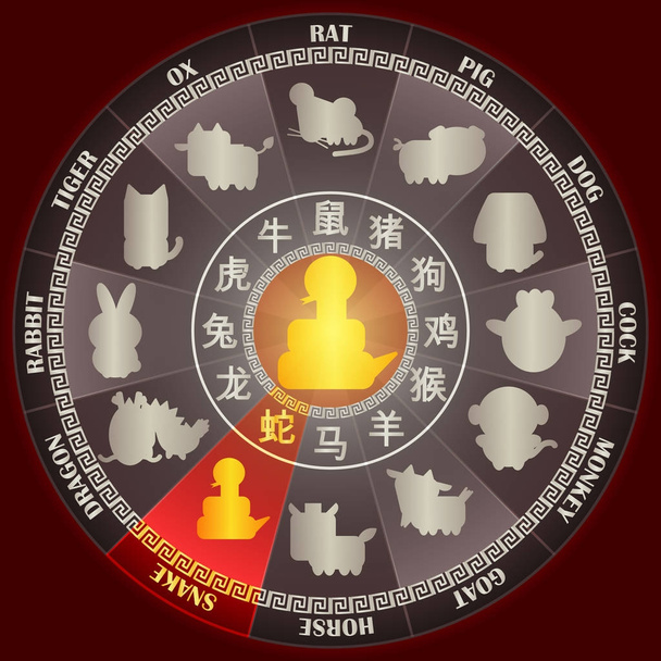 Jaar van de slang in Golden Chinese dierenriem wiel met woord symbool en twaalf dier tekenen voor Chinese Horoscoop agenda vector grafisch ontwerpconcept - Vector, afbeelding