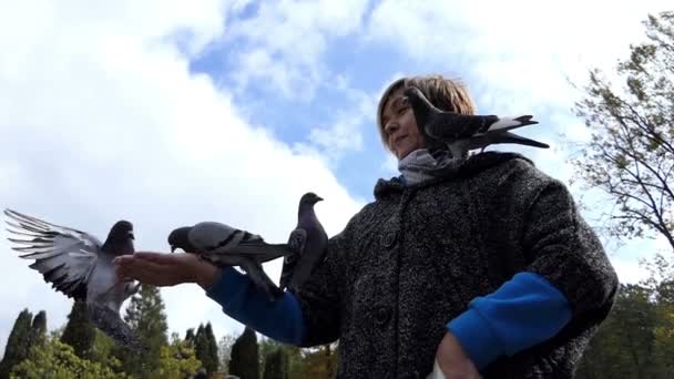 Mujer feliz alimenta palomas, manteniéndolas oh su cuerpo en slo-mo
 - Imágenes, Vídeo