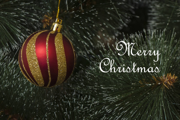 Renkli arka plan ile dekore edilmiş Noel ağacı - Fotoğraf, Görsel