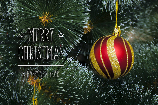 Barevné pozadí s nazdobený vánoční stromeček - Fotografie, Obrázek