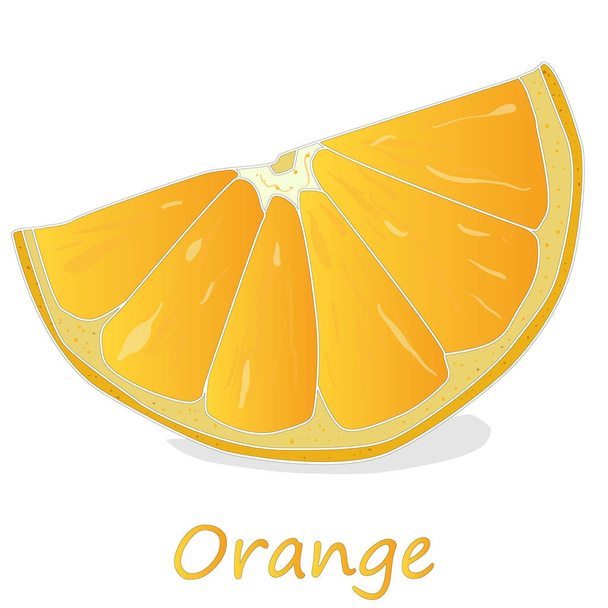 白い背景に隔離された新鮮なオレンジ - ベクター画像
