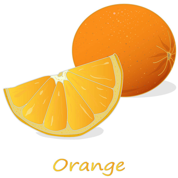 Свіжий апельсин ізольований на білому тлі
 - Вектор, зображення