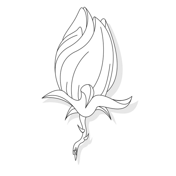Fantasia flor ilustração definido no branco
 - Foto, Imagem