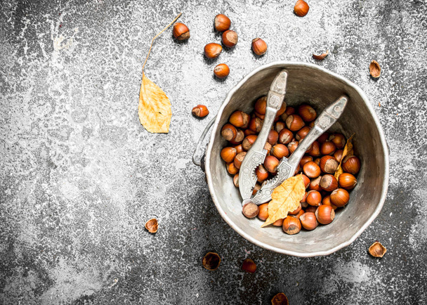 The hazelnuts in an old bucket with a Nutcracker. - Photo, image