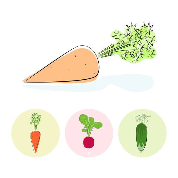 Pictogrammen wortel, komkommer, radijs - Vector, afbeelding