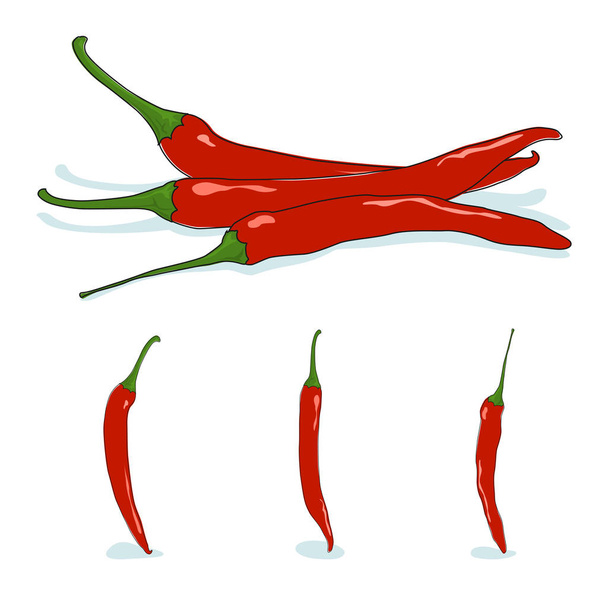 punainen kuuma chili pippuri - Vektori, kuva