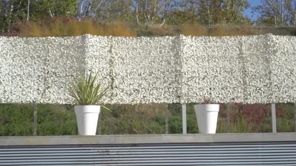 Δύο γλάστρες στέκεται στον τοίχο, θυελλώδη ημέρα - Πλάνα, βίντεο