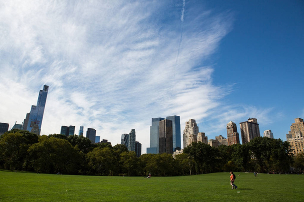 Central Park in New York - Фото, изображение