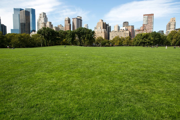 Central Park in New York - Fotó, kép