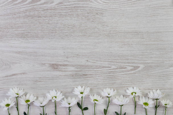 Garden flowers composition on white wooden table with copy space - 写真・画像
