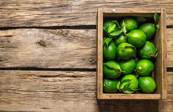 Fresh limes and leaves in an old box. On wooden table. - 写真・画像