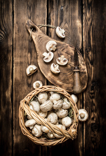 Cutting mushrooms with a knife on an old tree trunk.  - 写真・画像