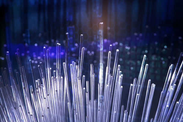 cable de red de fibra óptica para comunicaciones de Internet ultrarrápidas - Foto, imagen