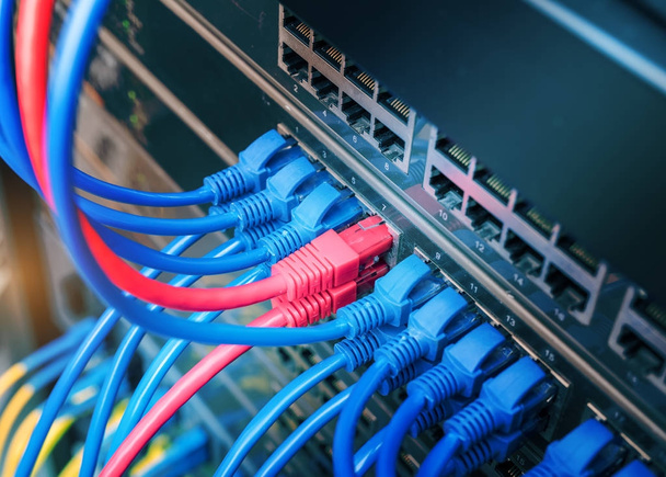 Red informática de tecnología de la información, cables Ethernet de telecomunicaciones conectados al conmutador de Internet
. - Foto, Imagen