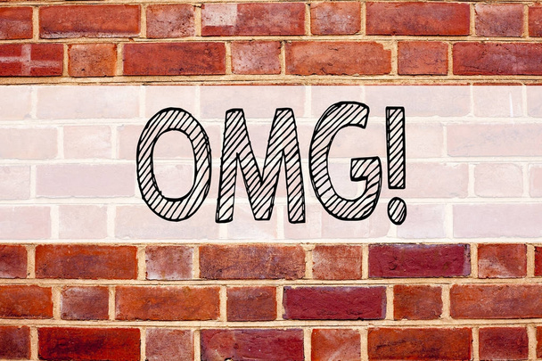 Conceptual announcement text caption inspiration showing OMG Oh My God. Business concept for Surprise Humor written on old brick background with copy space - Photo, Image