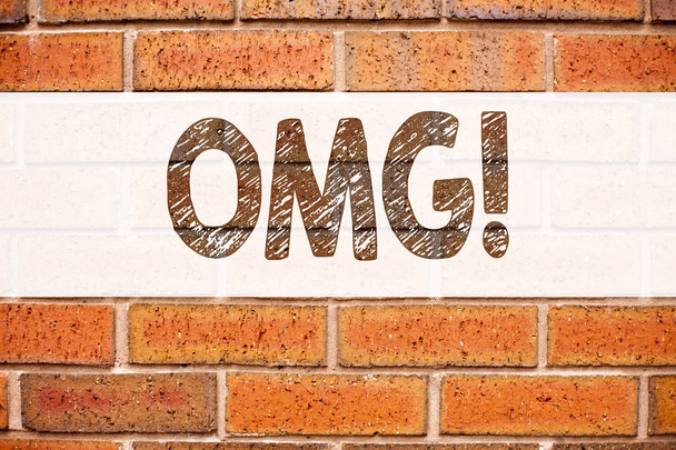 Conceptual announcement text caption inspiration showing OMG Oh My God. Business concept for Surprise Humor written on old brick background with copy space - Photo, Image