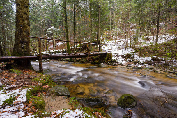 Большой упавший ствол ели, ель в лесу, горная река, ручей, ручей с порогами поздней осенью, ранняя зима со снегом, винтгарное ущелье, Словения
 - Фото, изображение