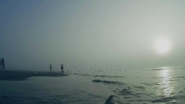Κύματα της θάλασσας στην ομίχλη. Κύματα εκτοξεύεται με μπαλώματα του φωτός του ήλιου στην ομίχλη στην ακτή.  - Πλάνα, βίντεο