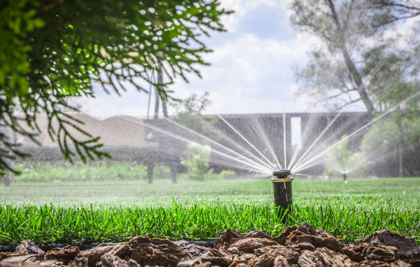 automatic sprinkler system watering the lawn on a background of green grass - Photo, Image