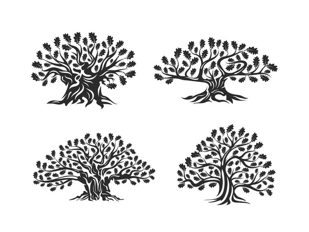 Huge and sacred oak tree silhouette logo isolated on white background. Modern vector national tradition green plant icon sign design set.Premium quality organic logotype flat emblem illustration. - Vector, Image