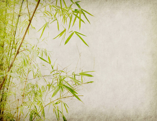 bamboo on old grunge paper texture background - Photo, Image