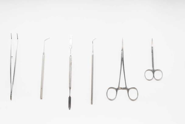 on the white surface are medical dental instruments - Фото, изображение