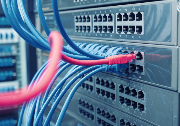câble Ethernet sur le réseau commutateurs arrière-plan
 - Photo, image