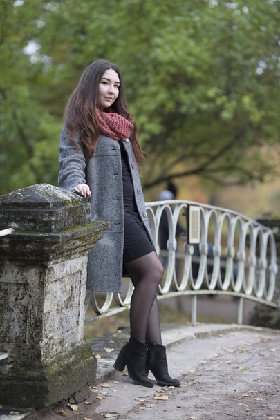 Portrait of a beautiful Russian girl in an autumn park - Φωτογραφία, εικόνα