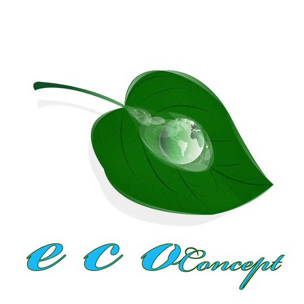 Green healthy planet and leaf with drop water.Ecology concept - Vector, Image