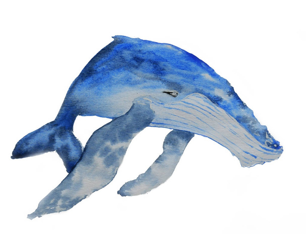 Watercolor nice whale sketch - Vector, Image