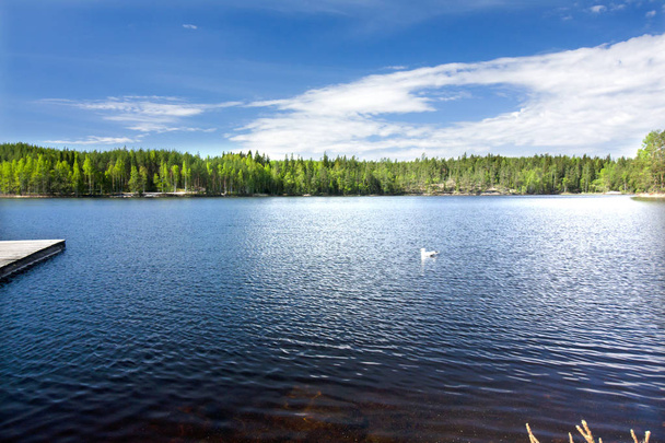 Beautiful lake in the national park Repovesi, Finland, South Karelia. - Photo, Image