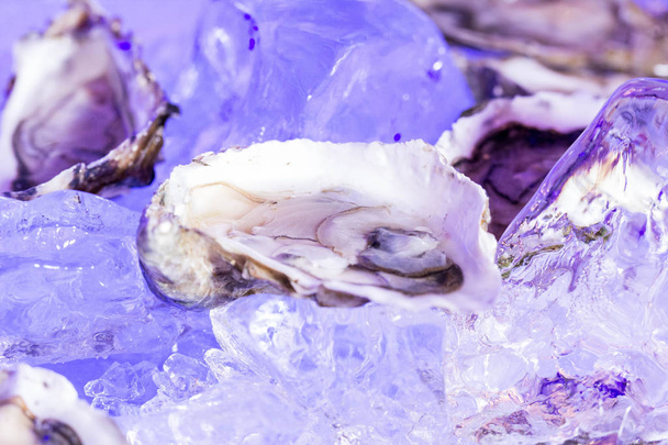 big oyster on ice - Foto, afbeelding